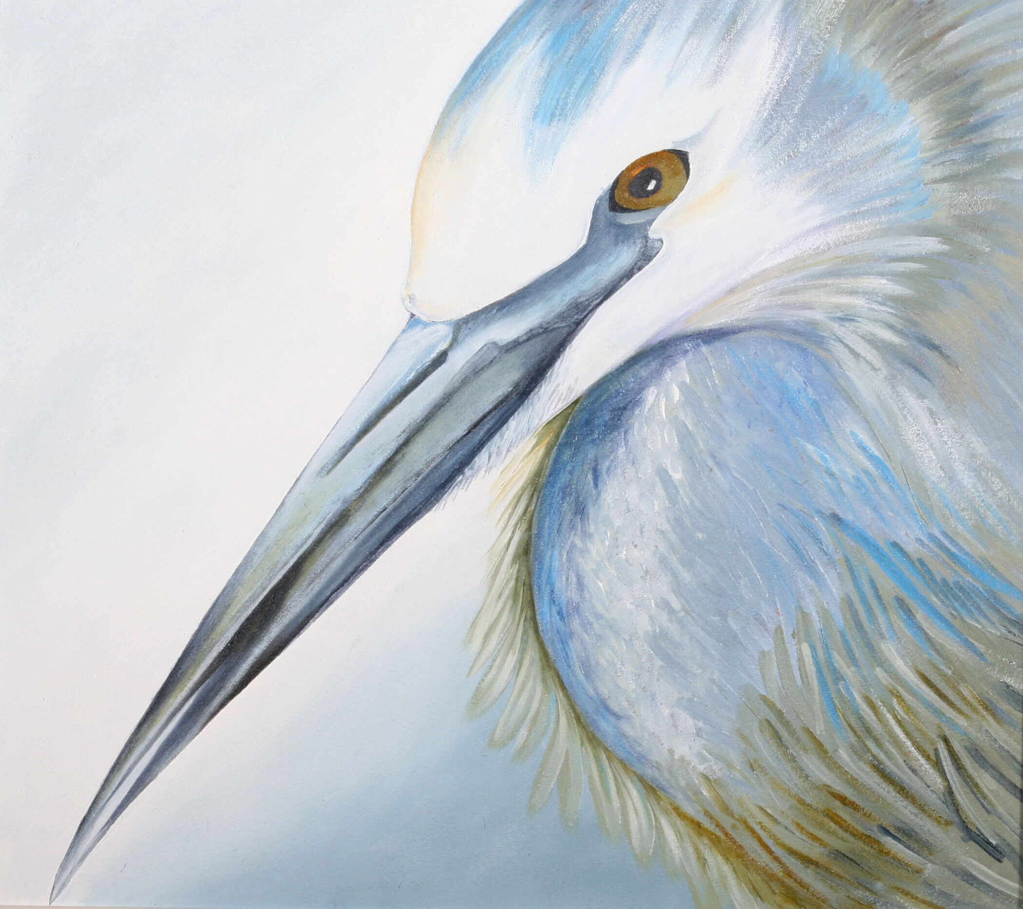 26. White Faced Heron - DESTROYED