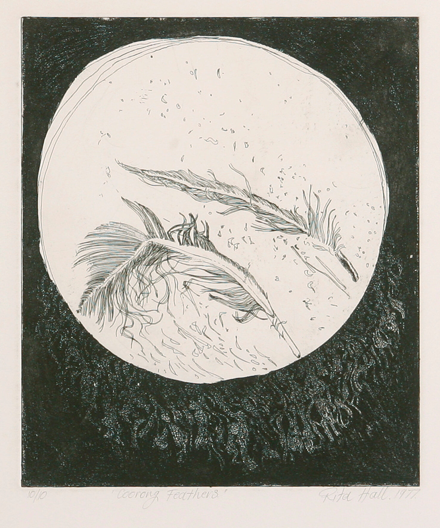 Coorong Feathers 1977 Etching Image 30 x 25cm