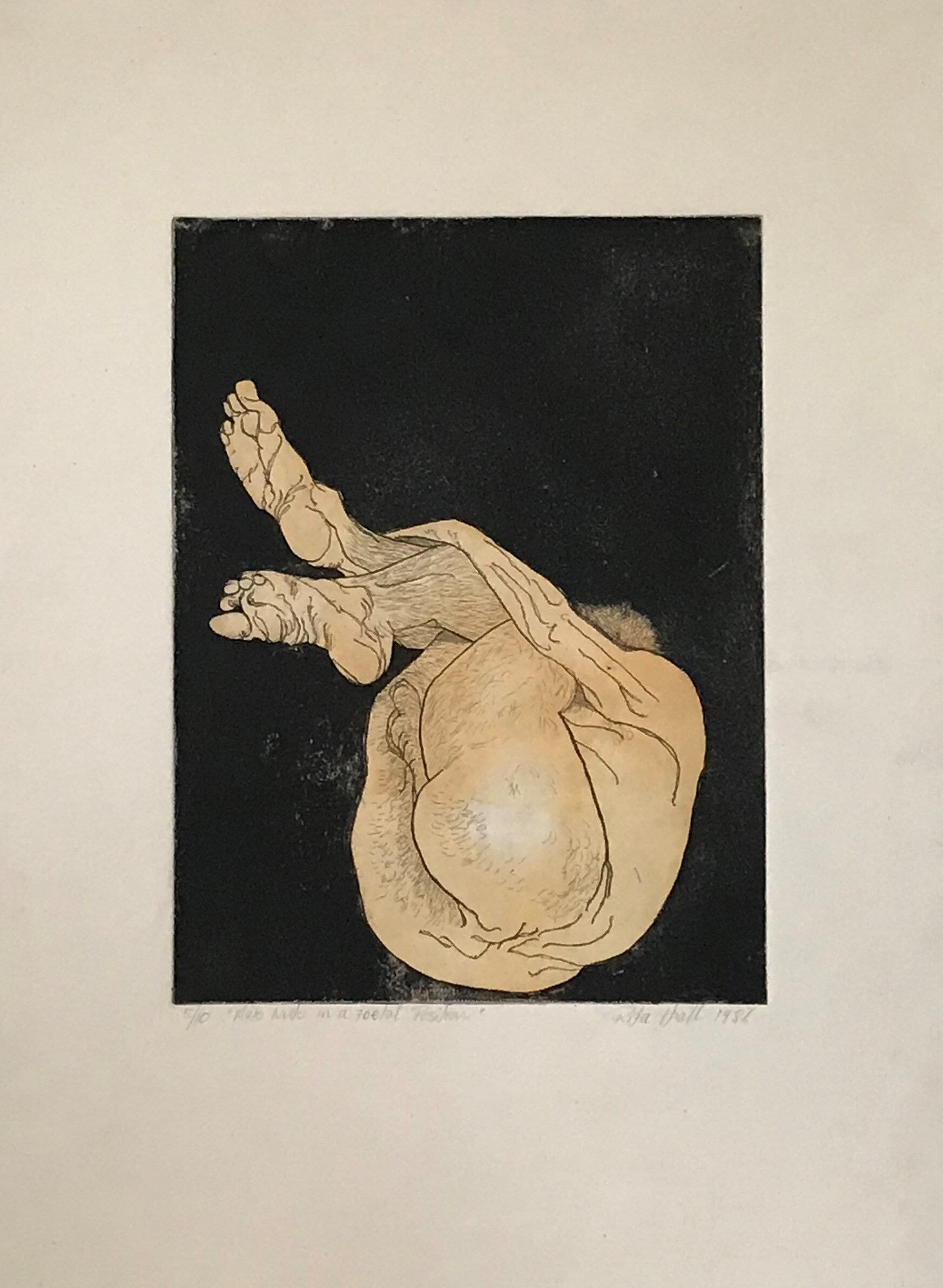 Male Nude in Foetal Position 1987 Hand coloured Etching 76 x 56cm