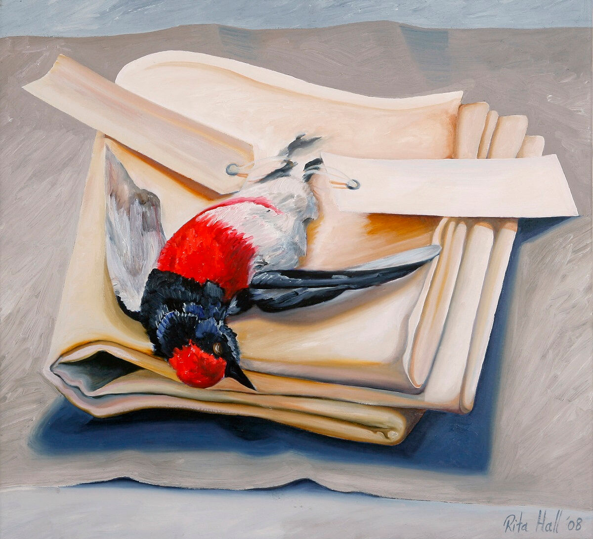Robin Laying On A Cloth 2008 Oil on canvas 60x66cm