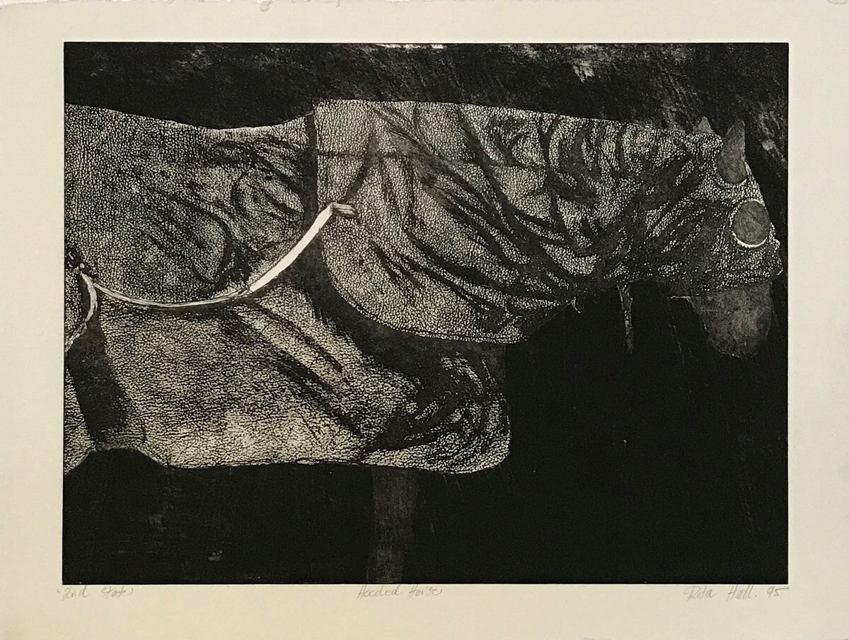 Hooded Horse 2nd state 1995 Etching 56 x 76cm