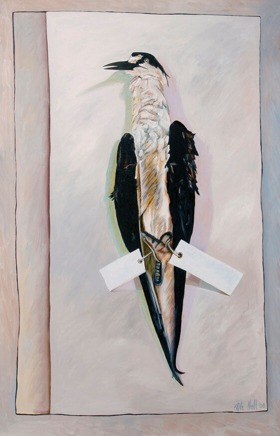 Sooty Tern 2008 Oil on canvas 148x95cm