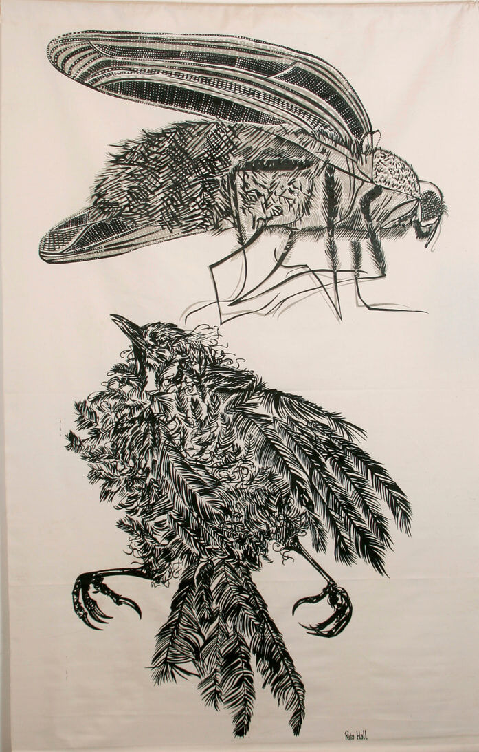 Dead Bird And Blowfly 1979 Screen Print 185x118cm