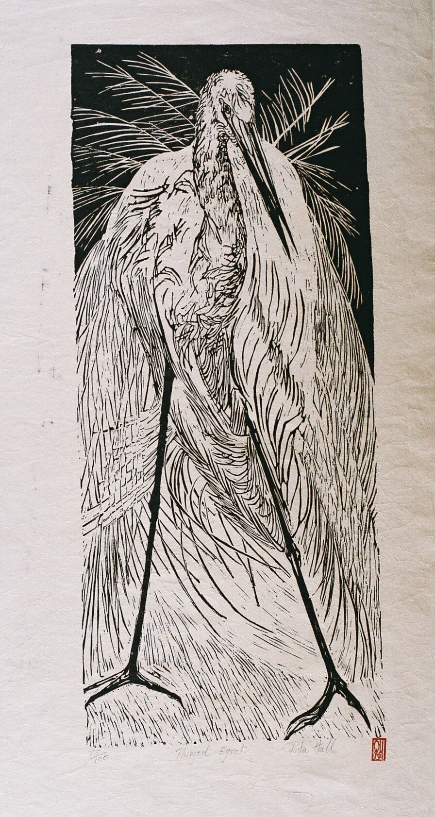 Plumed Egret 1989 Lino Cut 100 x 50cm