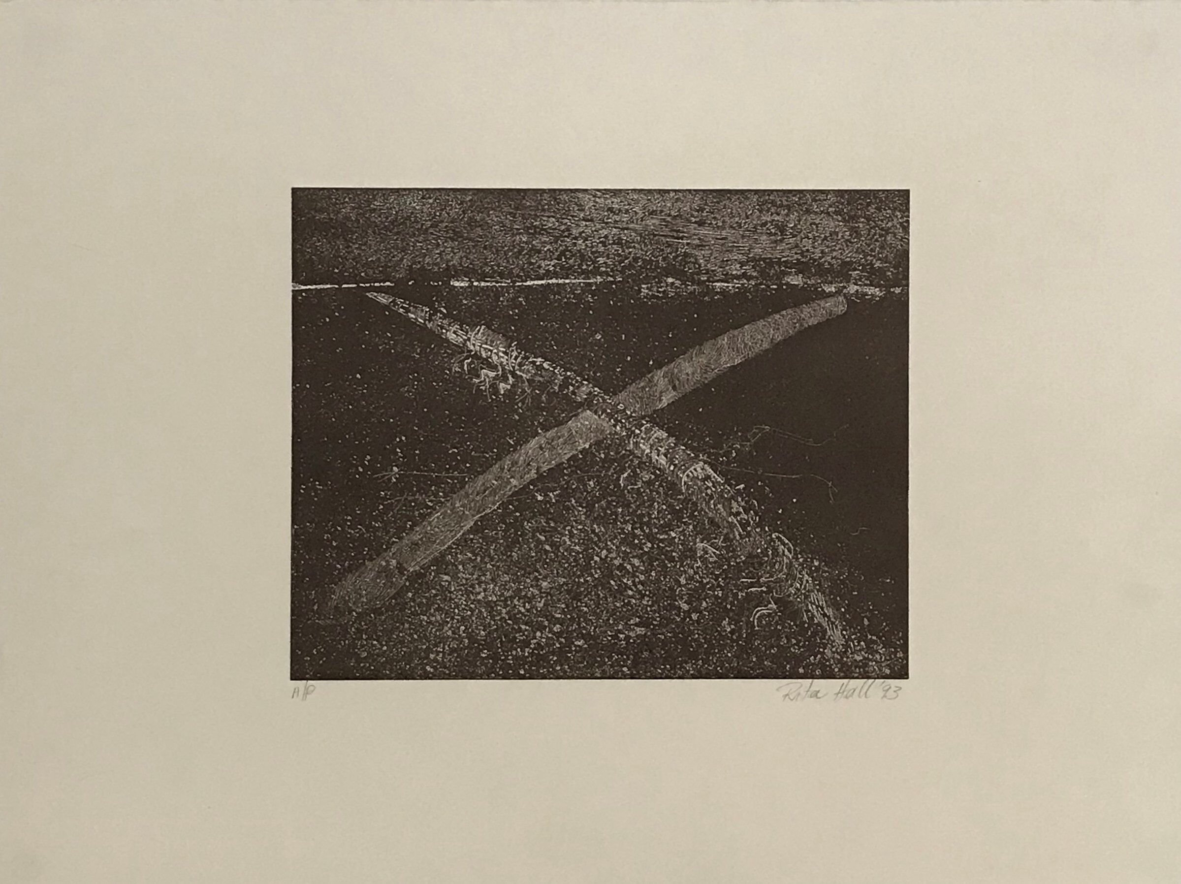 Untitled (AP) 1993 Etching 56 x 76cm