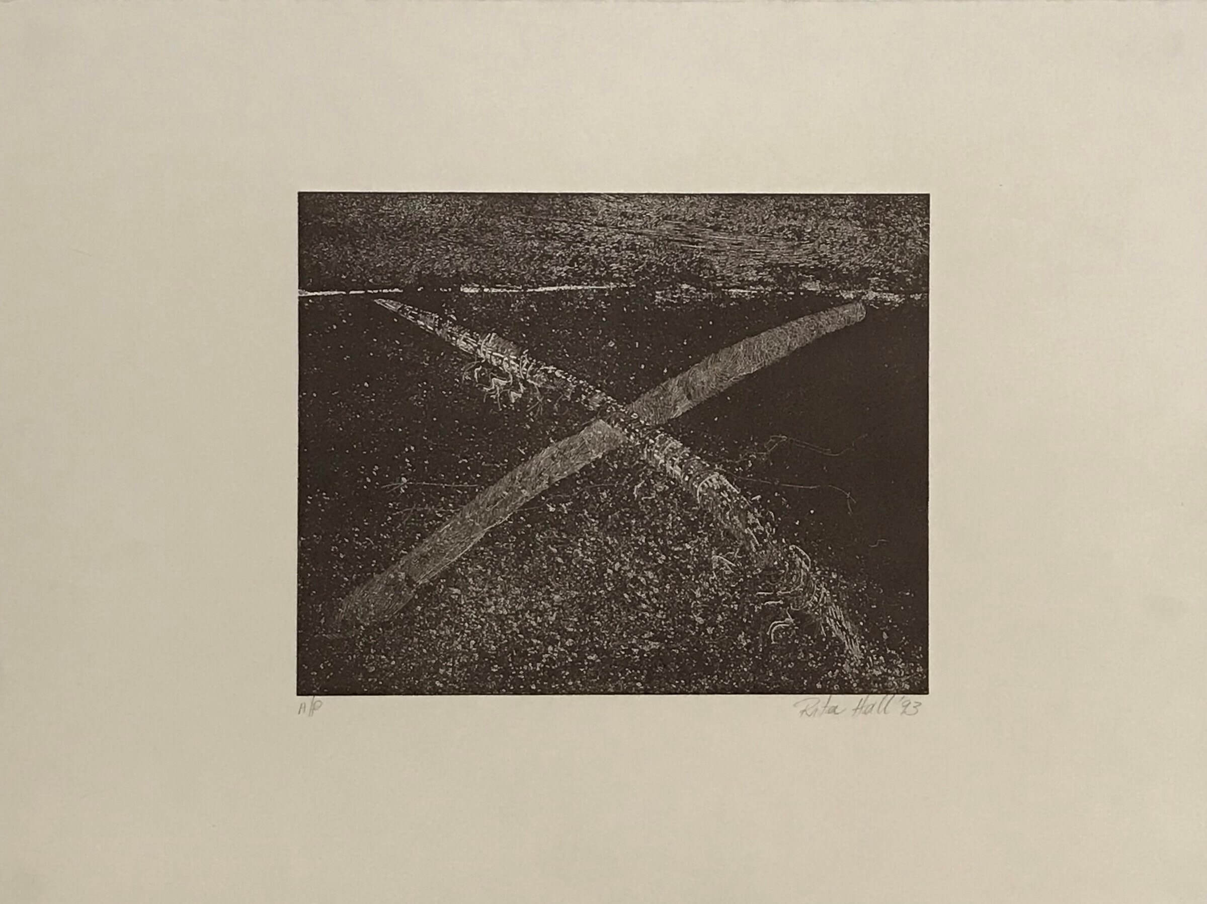 Untitled (AP) 1993 Etching 56 x 76cm