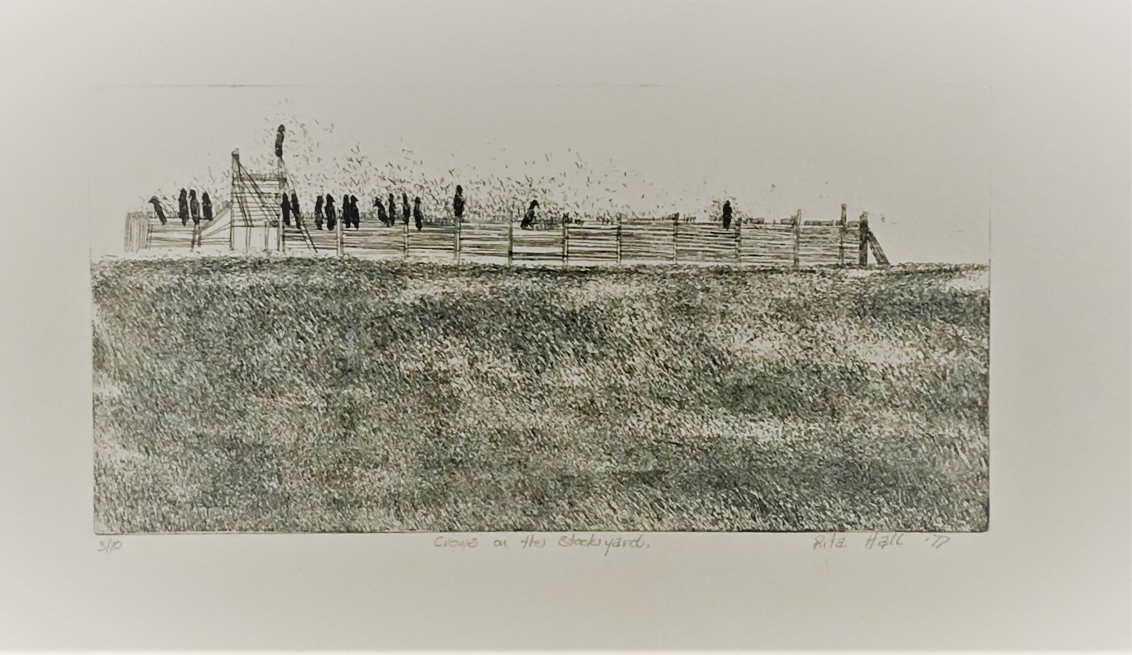 Crows on the Stockyard 1977 56 x 76 Etching