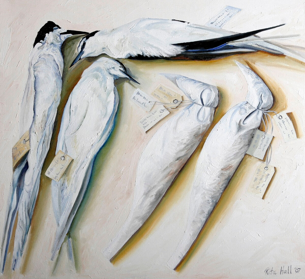 Sea Birds with Bird Bags 2007 Oil on linen 76.5 x 83.5cm