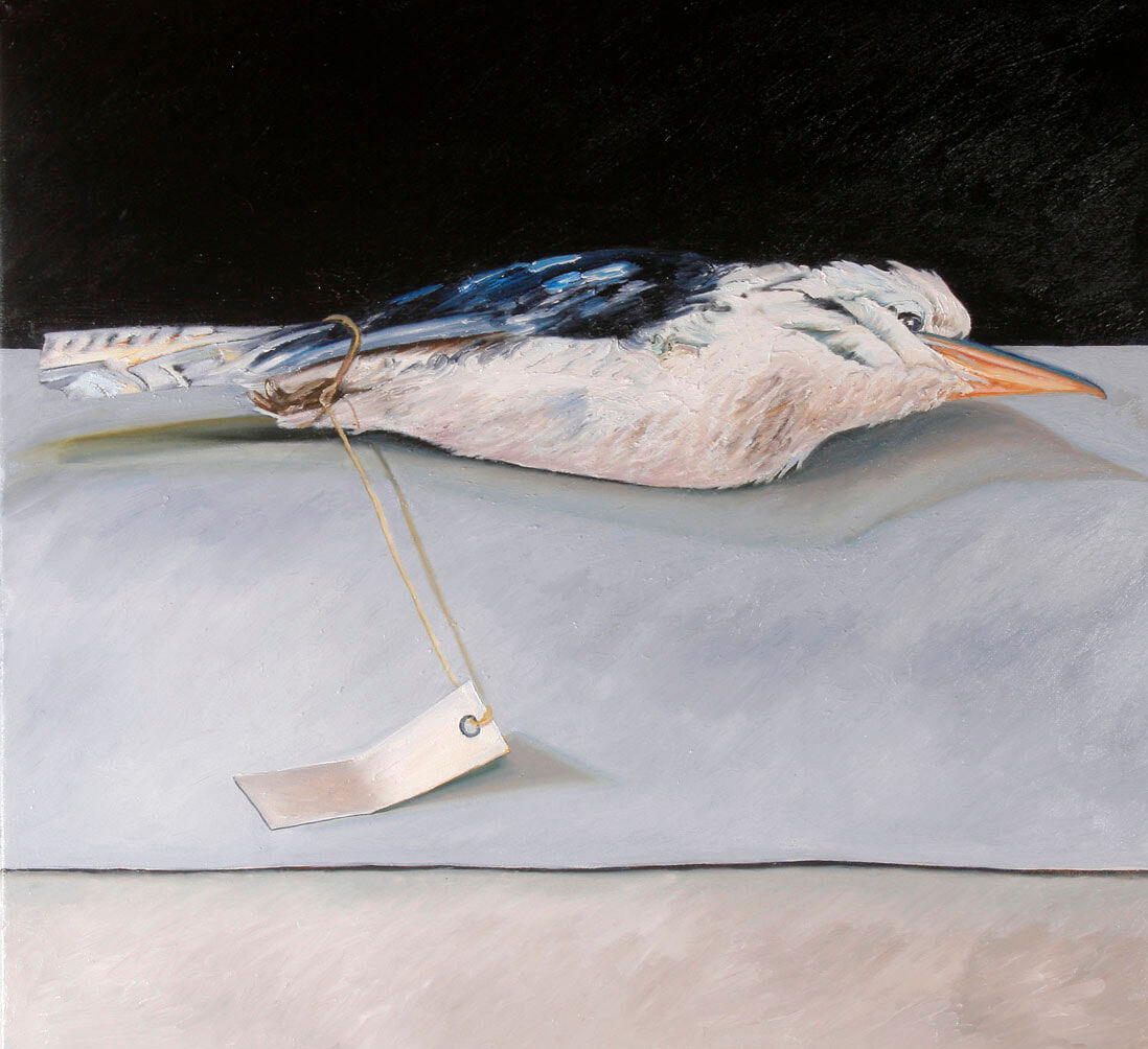 Kookaburra 2008 Oil on canvas 30x91cm