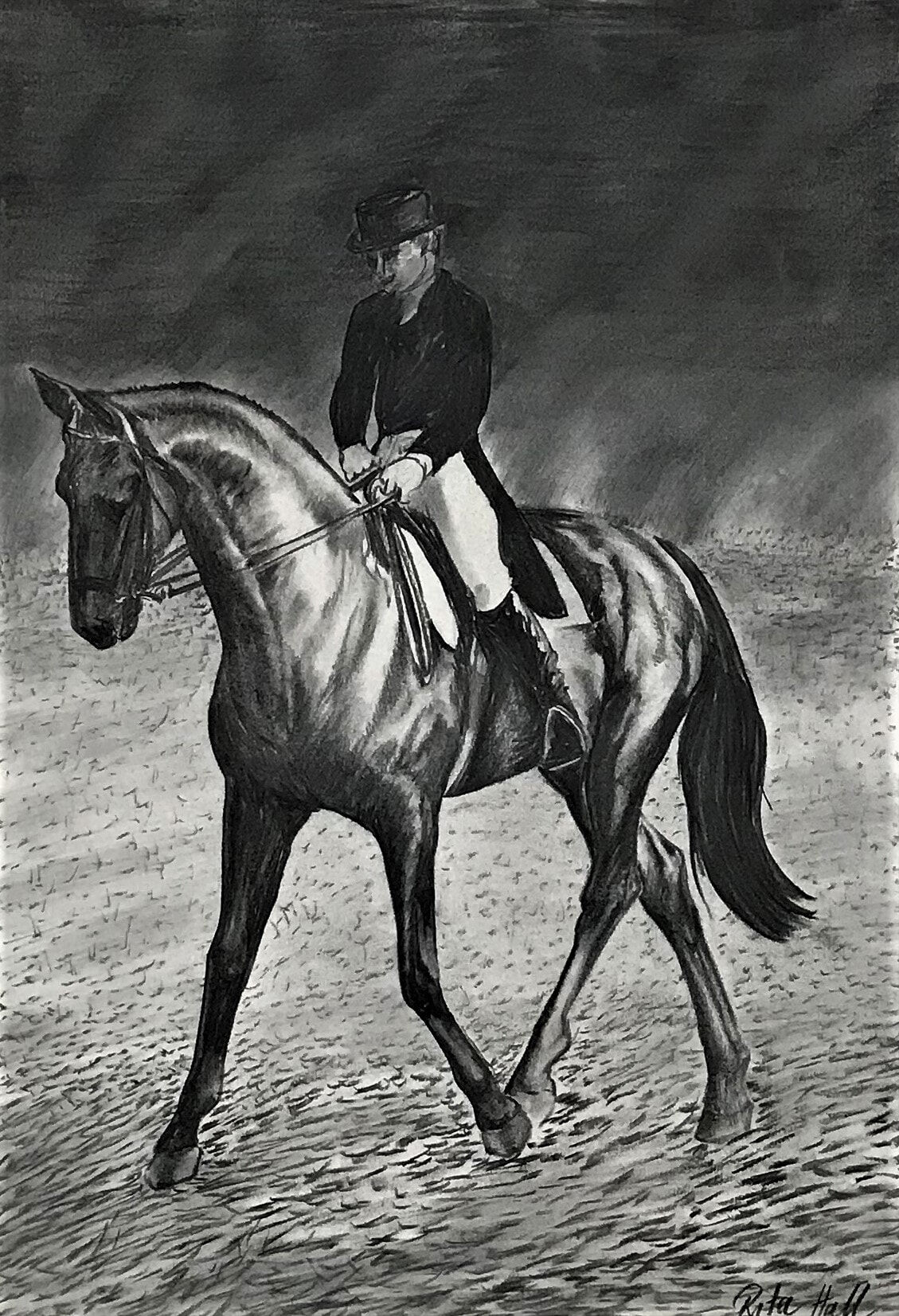 Sideways Horse 1997 Charcoal 83 x 56cm