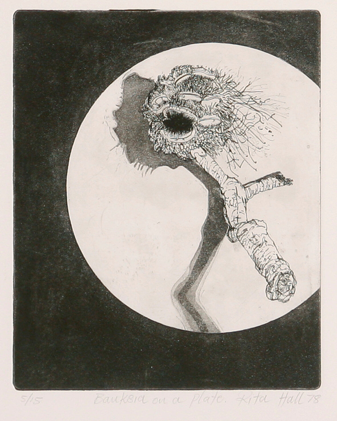 Banksia On A Plate 1978 Etching Image 25 x 20cm
