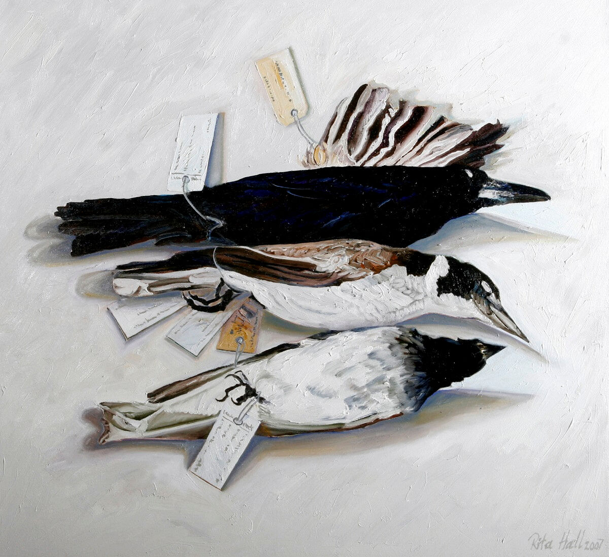 Three Birds And A Wing 2007 Oil on linen 77x84cm