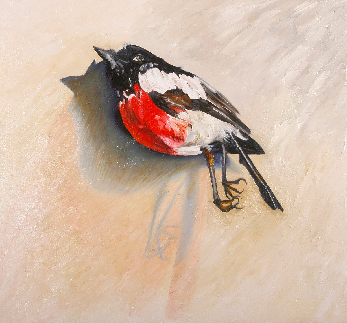 Scarlet Robin 2008 oil on linen 85x91cm