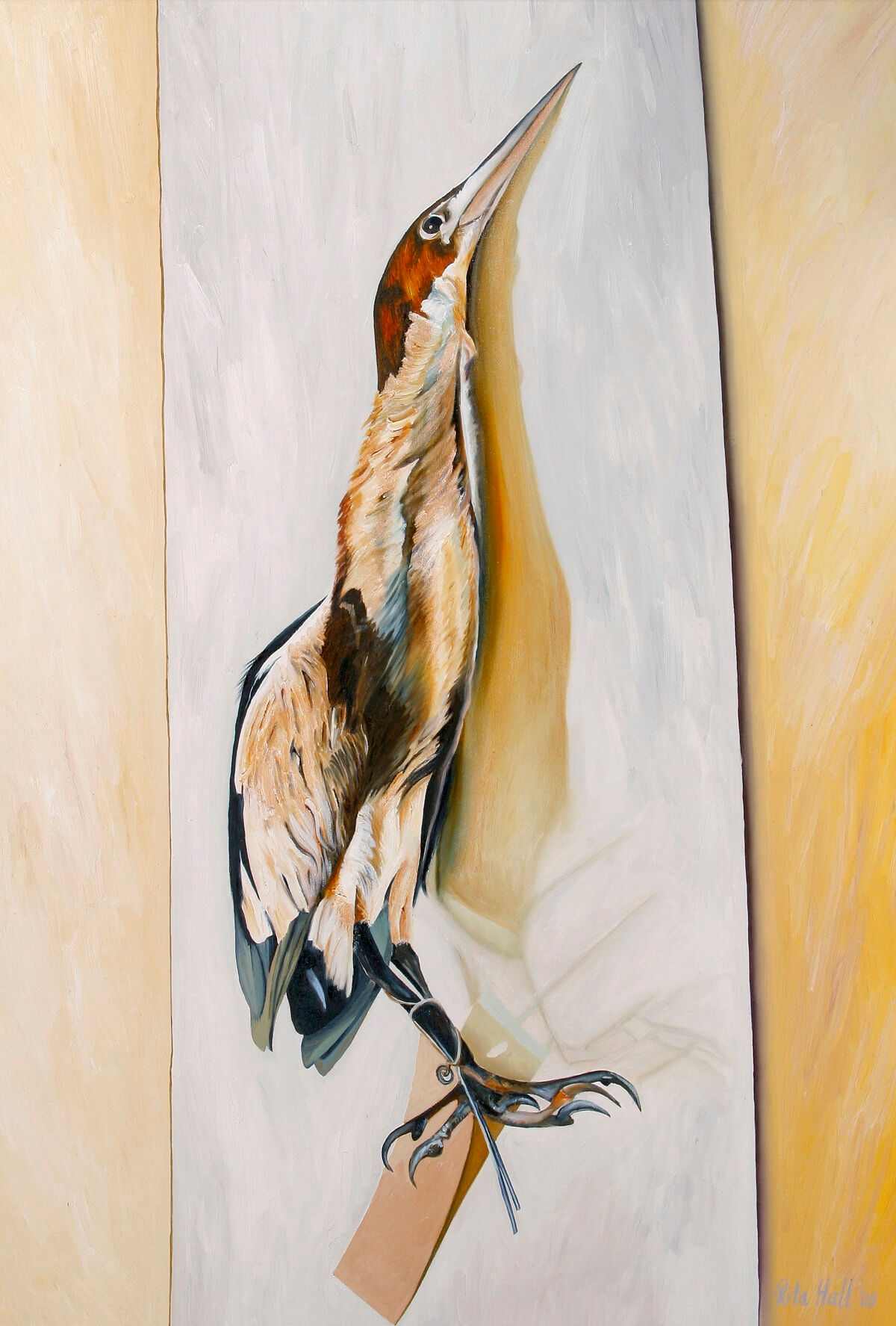 Bitten 2008 Oil on canvas 148x95cm
