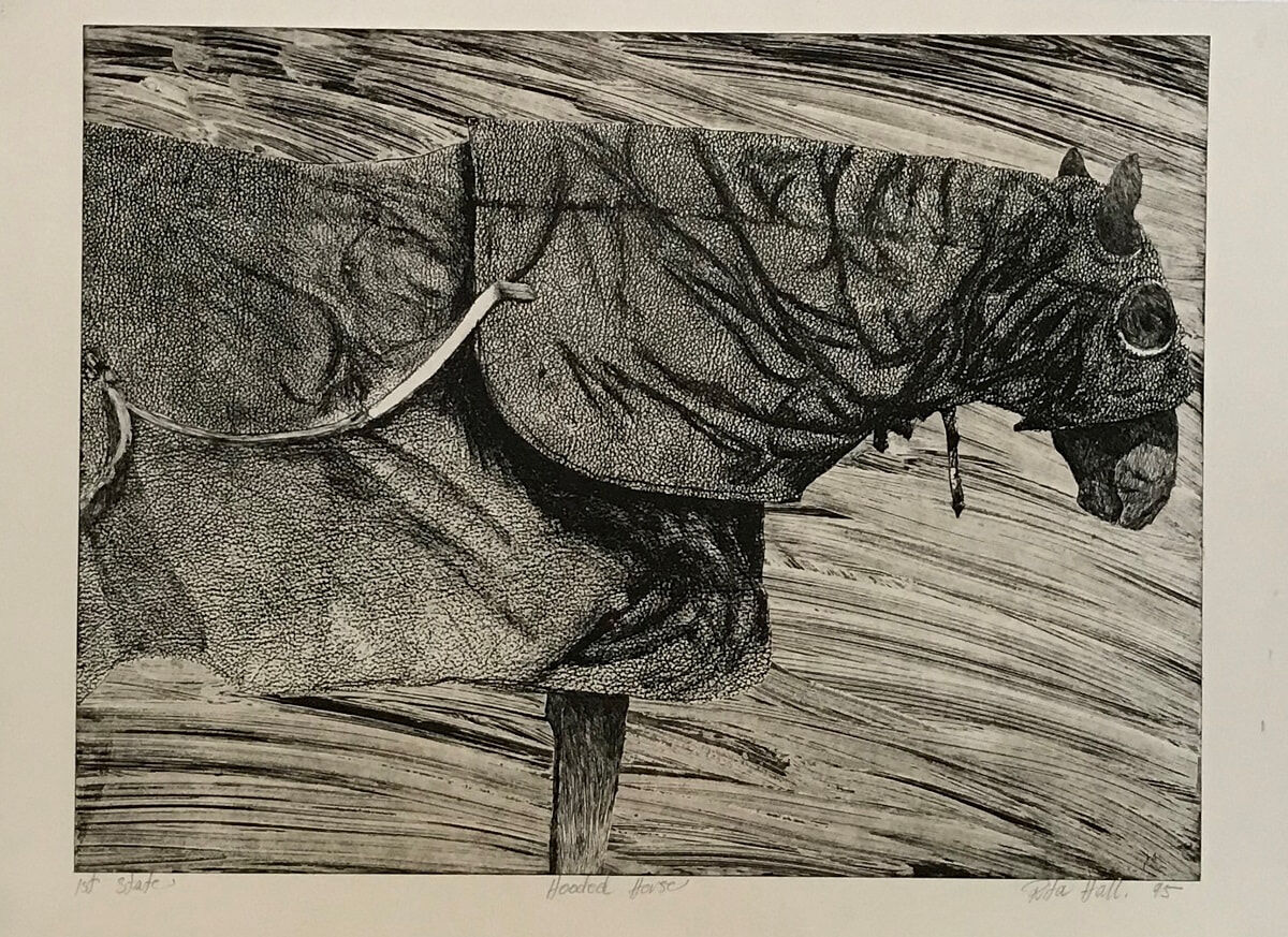 Hooded Horse 1st State 1995 Etching 56 x 76cm