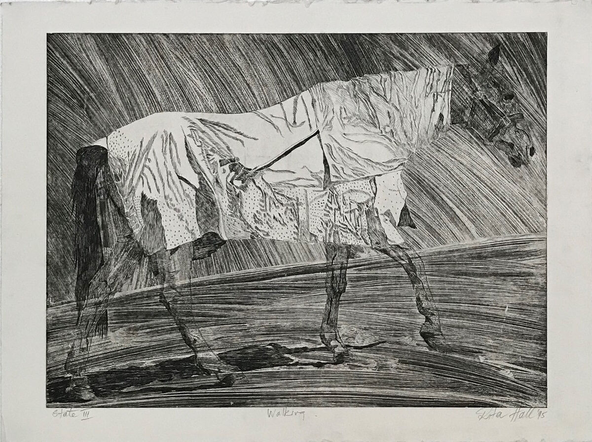 Walking Horse Stage I 1995 Etching 56 x 76cm