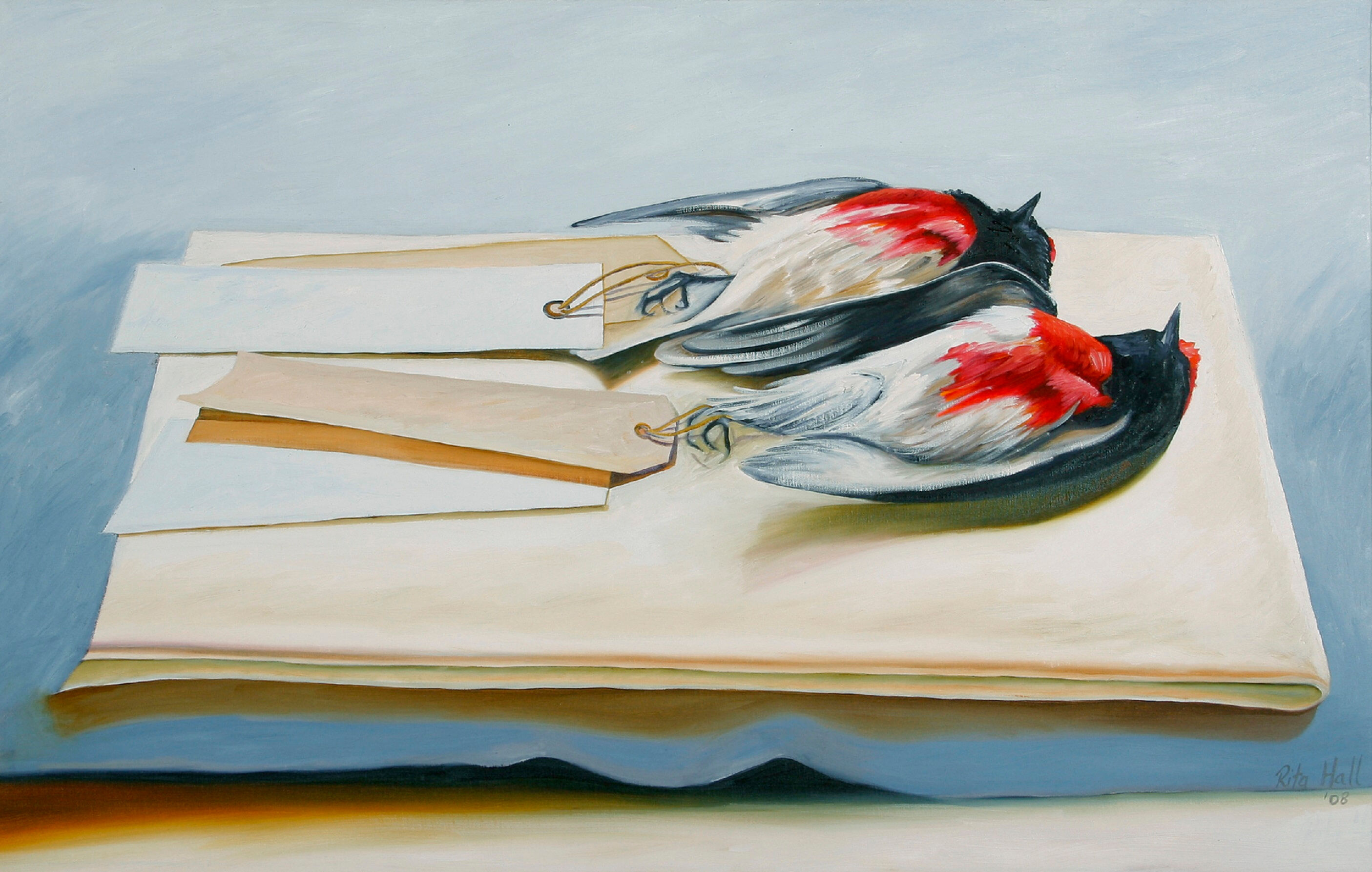 Floating Robins 2008 oil on canvas 70x110cm