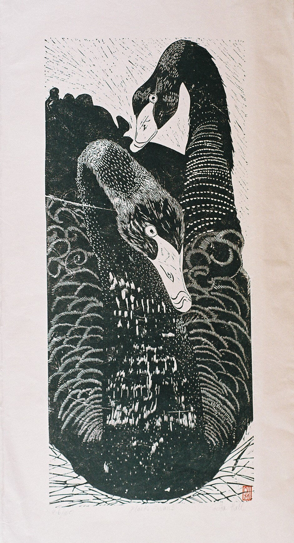 Black Swan 1989 Lino Cut 100 x 50cm