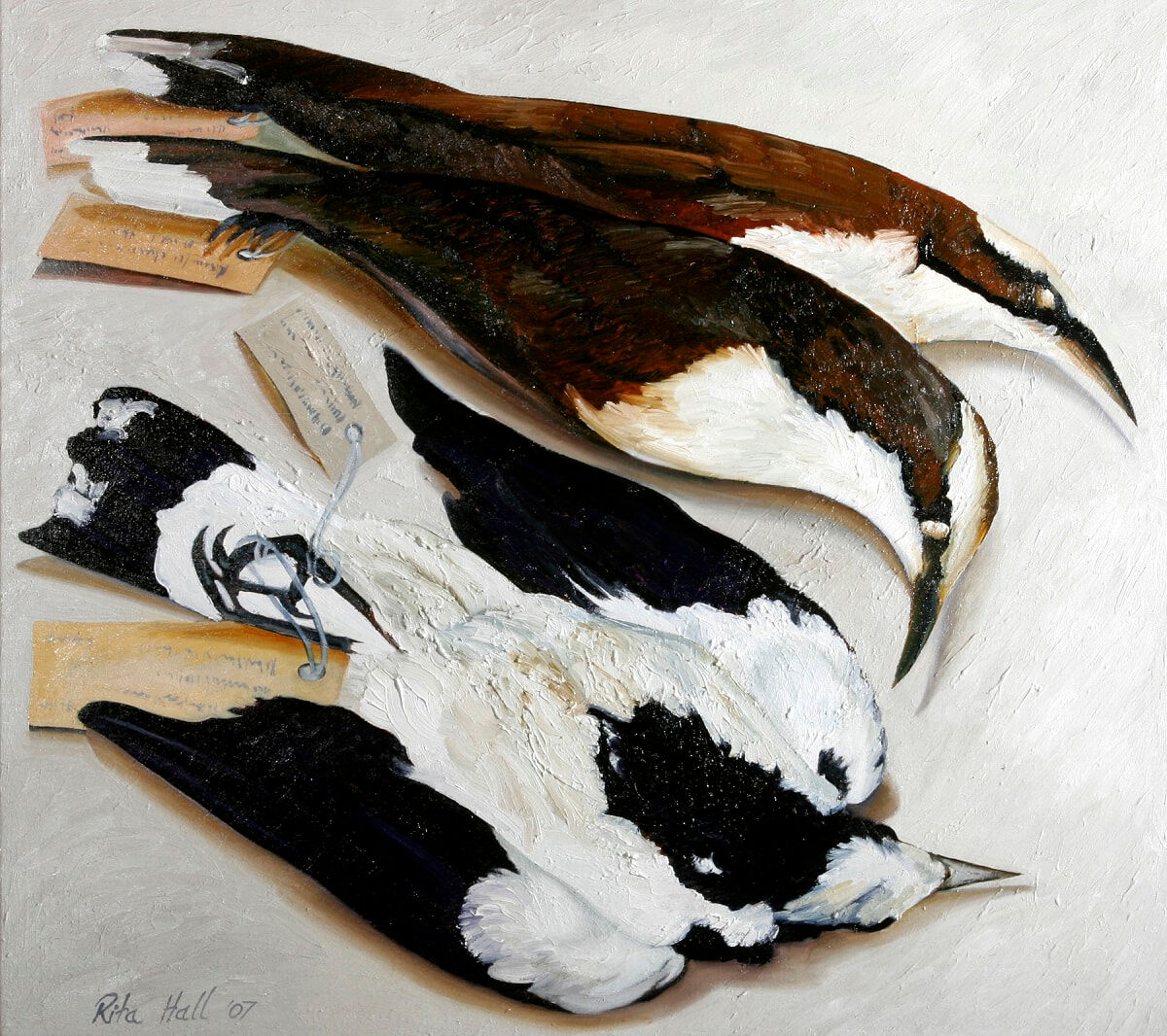 Three Birds 2007 Oil on linen 77x84cm