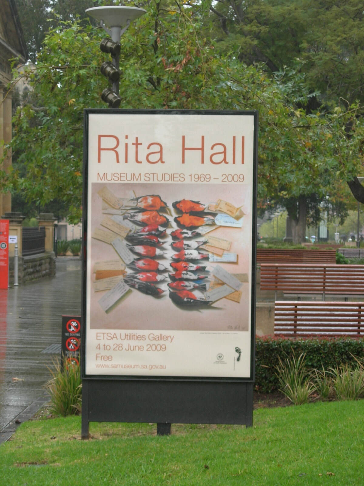 Rita Hall Museum Studies day