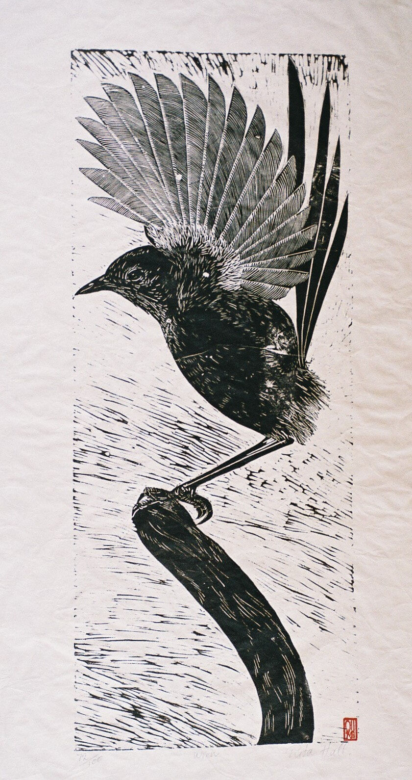 Wren 1989 Lino Cut 100 x 50cm