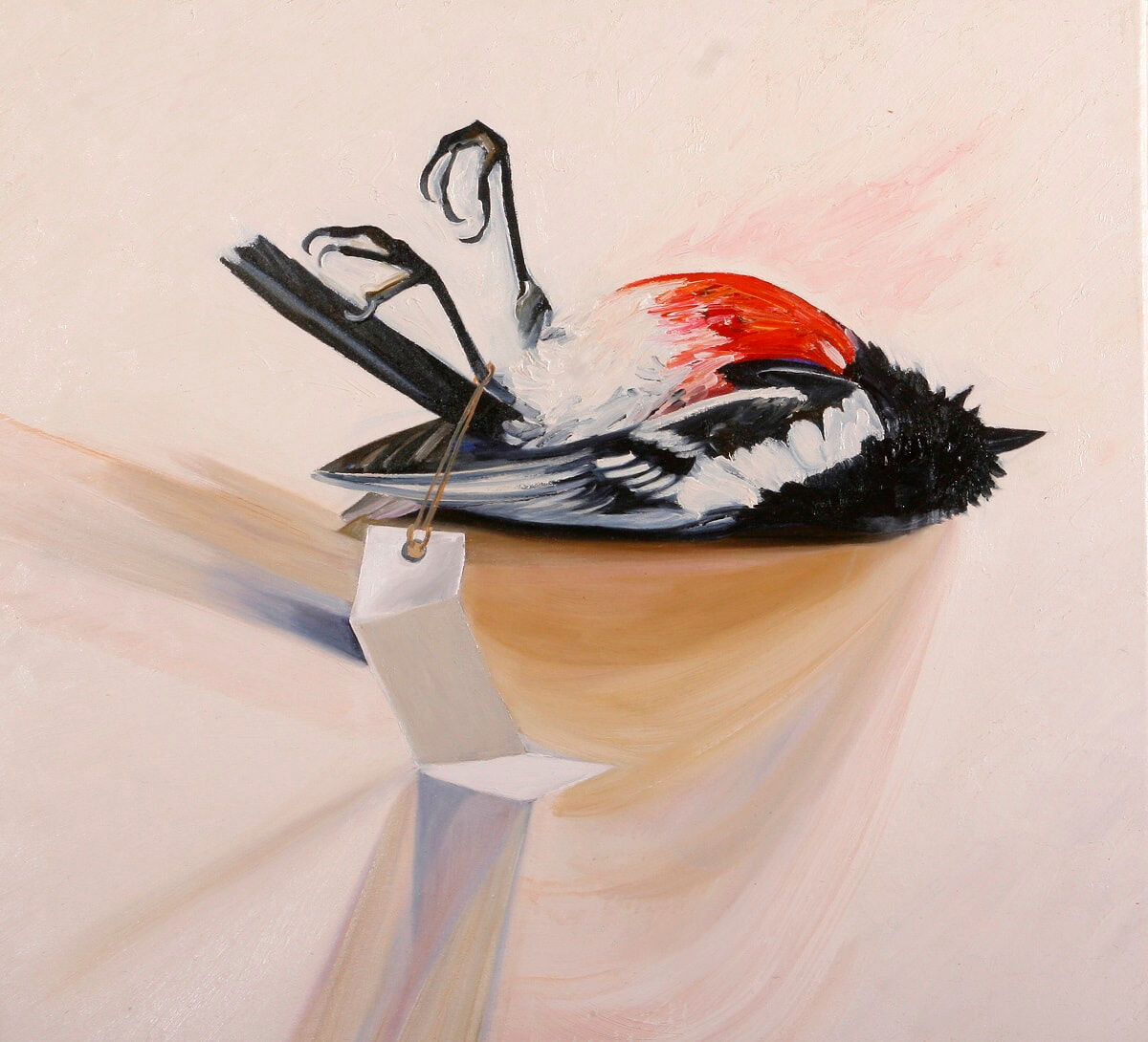 Scarlet Robin 2008 oil on canvas 60x66cm