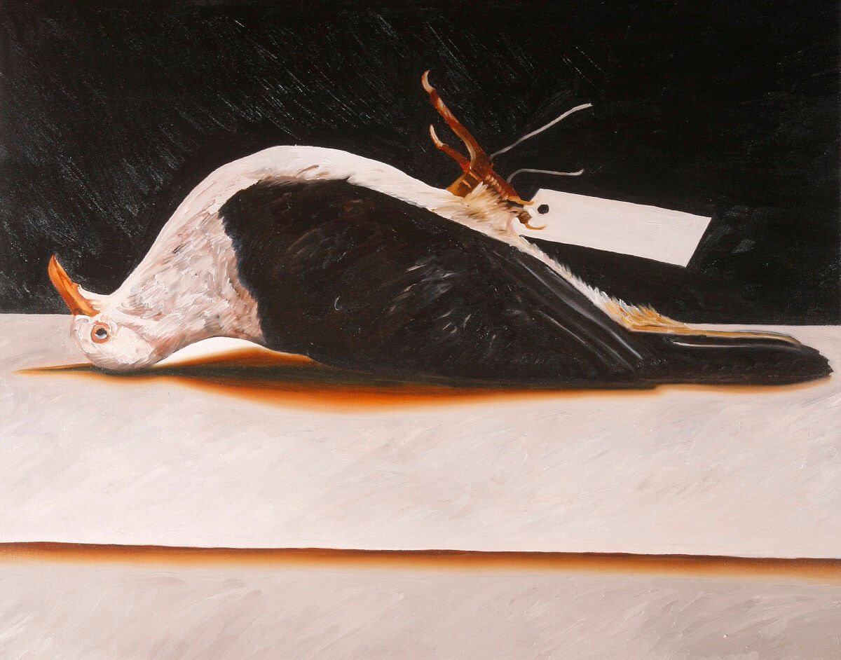 Pigeon 2008 oil on canvas 66x84cm