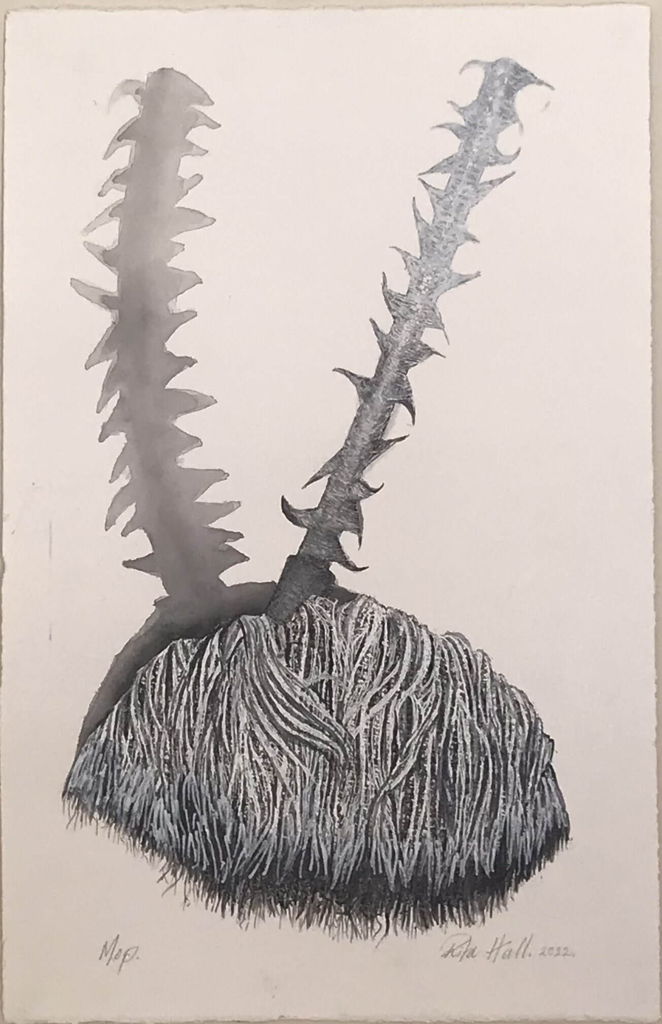 Mop 2022 56 x 38cm