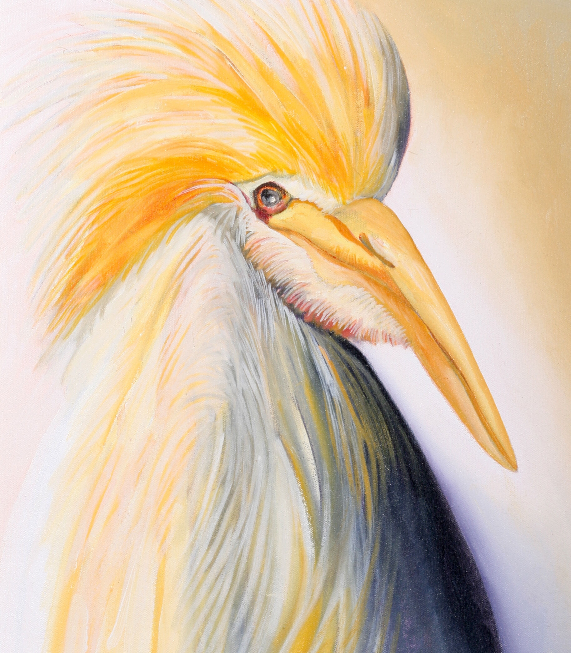 31. Cattle Egret - SOLD