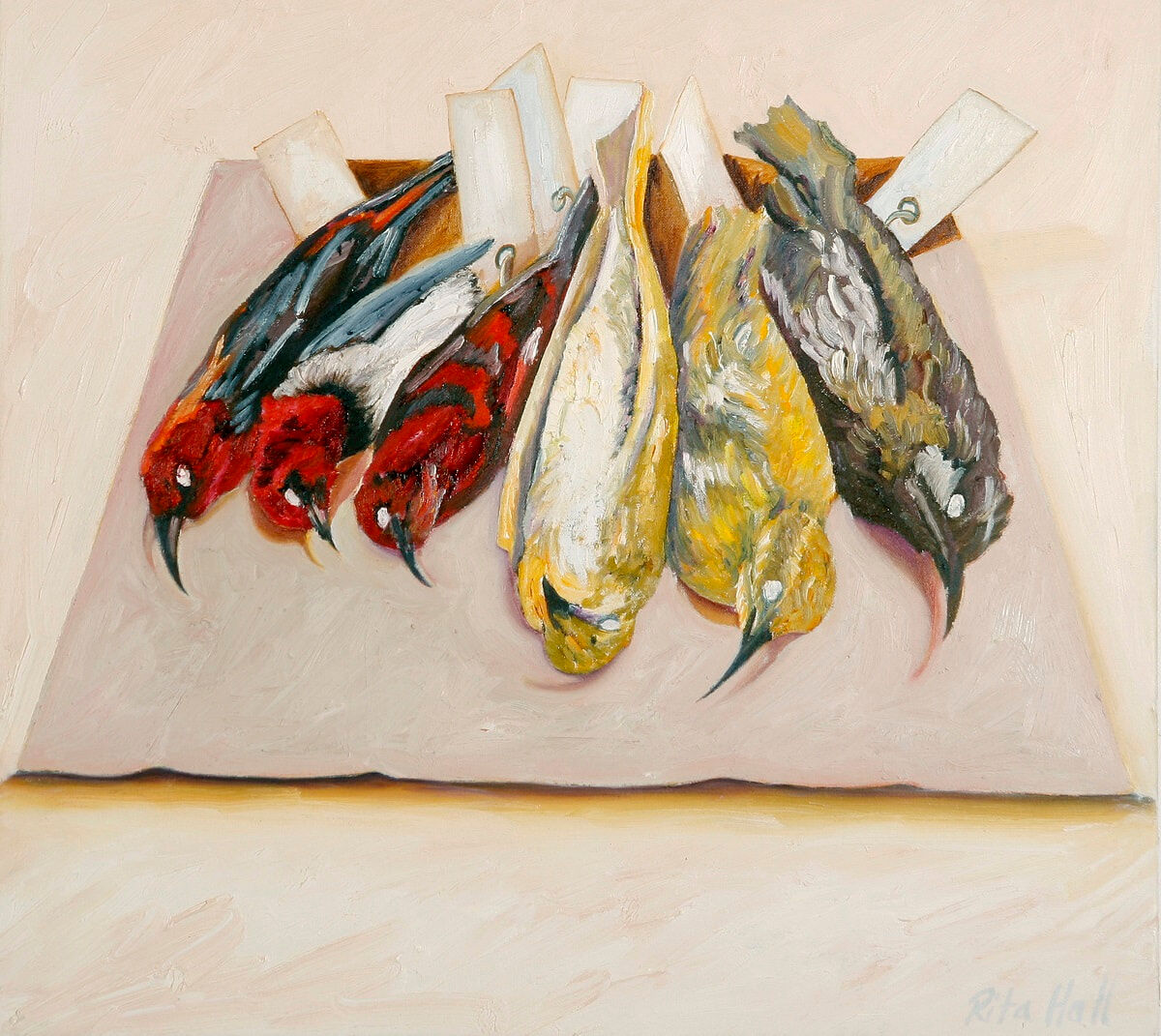 Small Red And Yellow Birds 2007 Oil on canvas 50x56