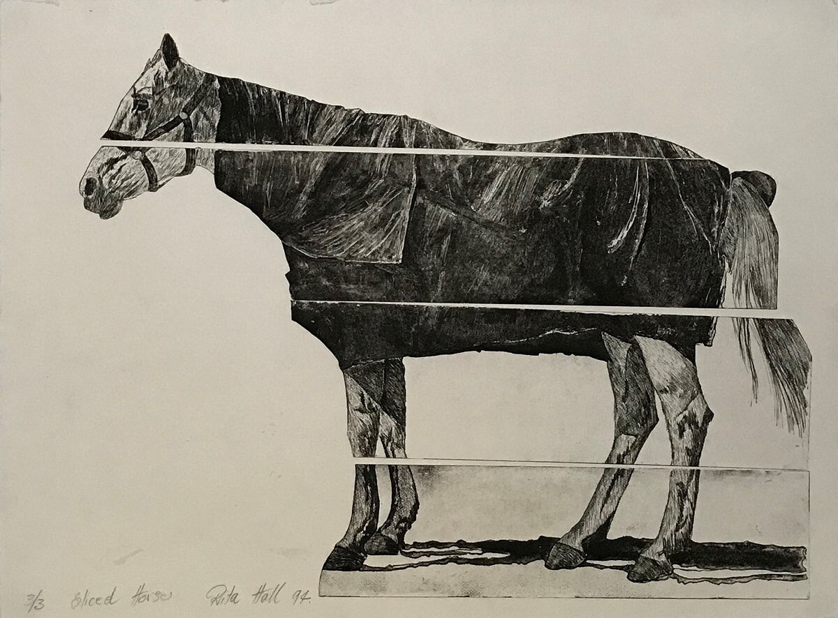 Sliced Horse 1994 Etching 56 x 76cm