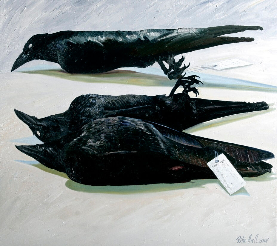 Little Crows 2007 Oil on linen 77x84cm