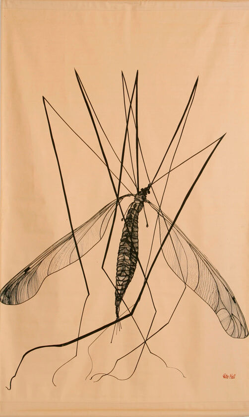 Cranefly II 1982 Screen Print 142x85cm