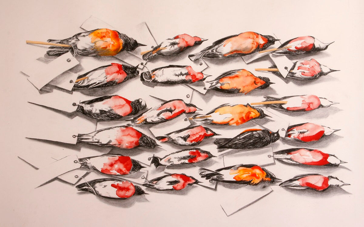 Red Brested Birds 1 2008 watercolour, conte & charcoal on paper 75 x 120cm