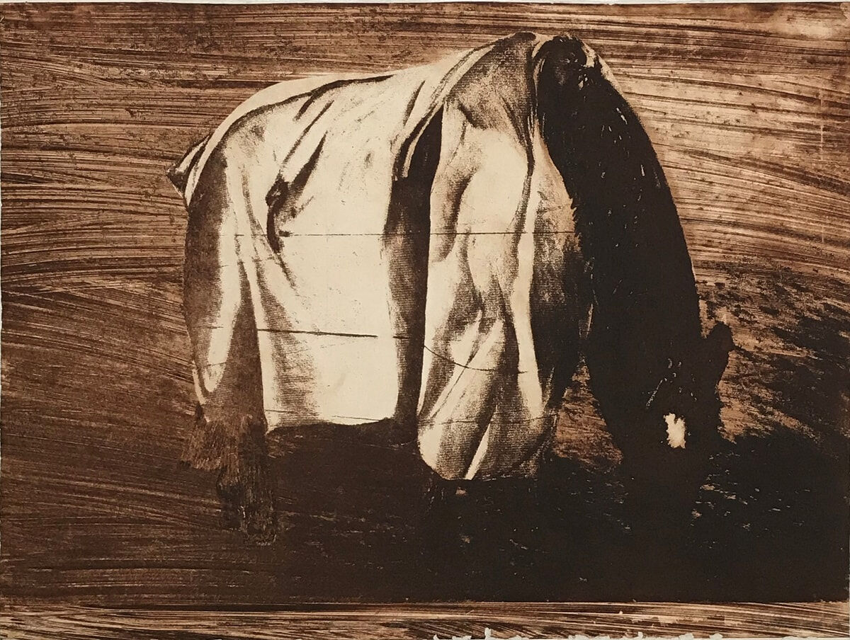 Fenced Horse 1995 Etching Sepia 56 x 76cm