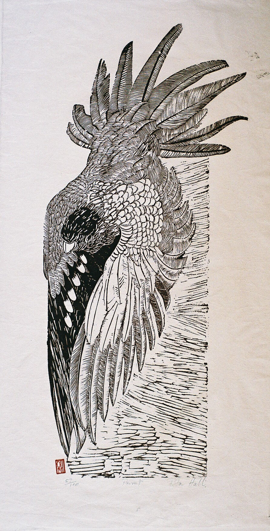 Parrot 1989 Lino Cut 100 x 50cm