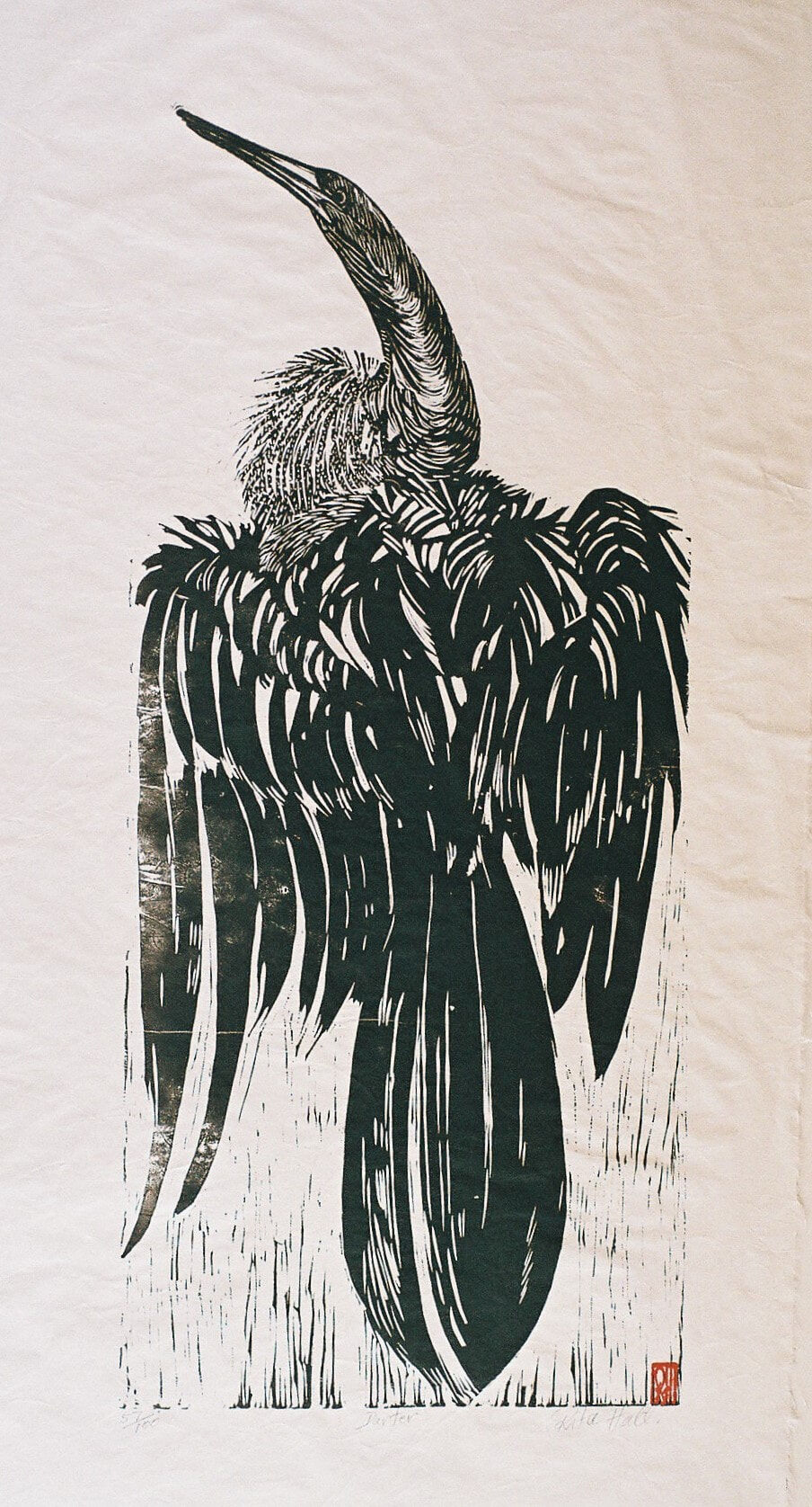 Darter 1989 Lino Cut 100 x 50cm