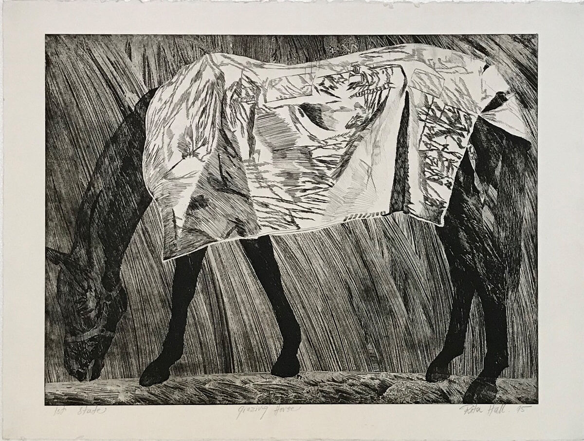 Grazing Horse 1st State 1995 Etching 56 x 76cm