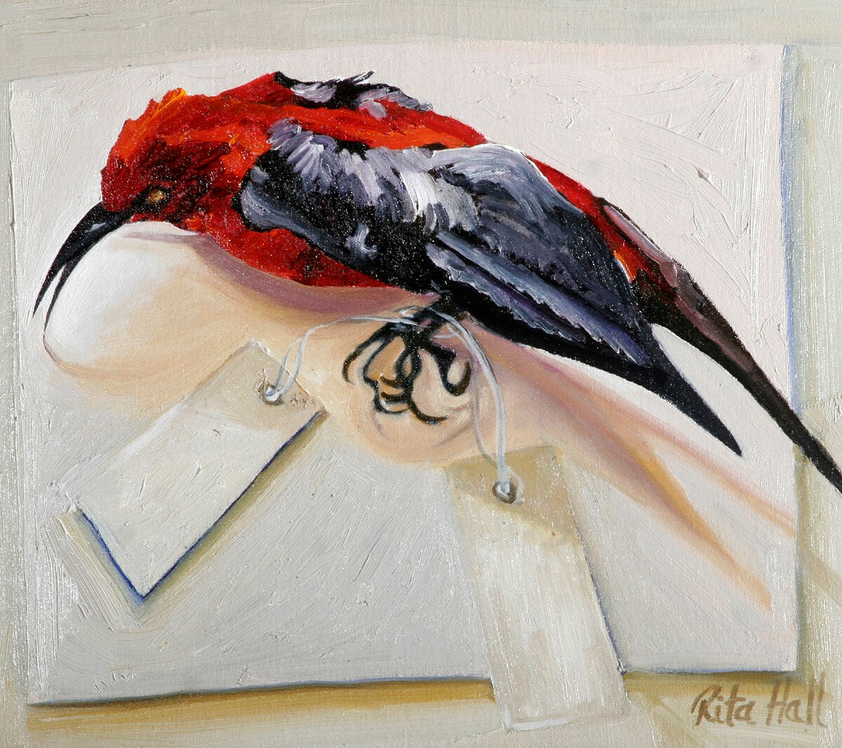 Red Breasted Bird 2007 Oil on canvas 36x40cm